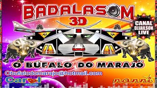 BADALASOM O BUFALO DO MARAJO EM CASTANHAL NA ABB 2012  CANAL DJJAILSON LIVE [upl. by Jarred774]