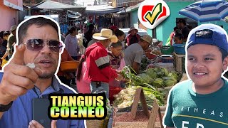 😮 Así el TIANGUIS DE COENEO del 21 de noviembre  REVISTA COENEO [upl. by Alisha569]