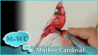 How to Paint a Cardinal with Winsor Newton Watercolor Markers [upl. by Balbur]