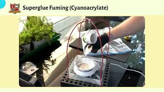 Cyanoacrylate Fuming  Fingerprint Development Method [upl. by Mode856]