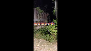 CRYPTO MONSTER IN BACK YARD AT 2AM [upl. by Eihctir]