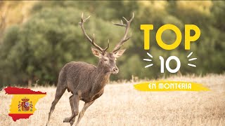 TOP 10 Tirs cerfs en Monteria [upl. by Oijimer515]