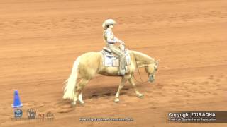 A Judges Perspective 2016 AQHYA Western Riding World Champion [upl. by Lavine]