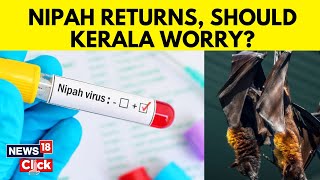 Explained What Is Nipah Virus Symptoms And Measures  Kerala news  English News  News18  N18V [upl. by Ardnayek42]