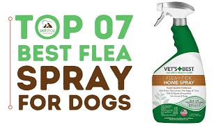 Top Best Flea Sprays for Dogs [upl. by Robina248]