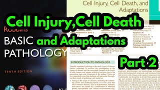 Reversible Cell Injury Robbins PathologyMorphology of Reversible Cell InjuryPathology lectures [upl. by Gnilrad524]