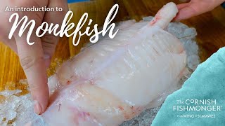 An introduction to Monkfish [upl. by Avahc]