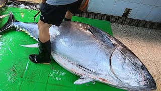 Over 300 kg Giant Bluefin Tuna cutting for Sashimi  Taiwanese street food [upl. by Notnerb117]