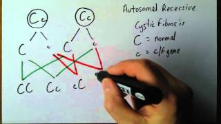 Genetics 4 Autosomal recessive disorders [upl. by Ayaet]