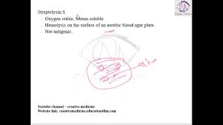 Lec 10 Streptococcus Streptolysin S  MICROBIOLOGY  Microbiology [upl. by Ramunni]