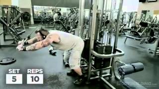 Kris Gethins DTP Arms amp Lower Abs Workout [upl. by Leeth676]