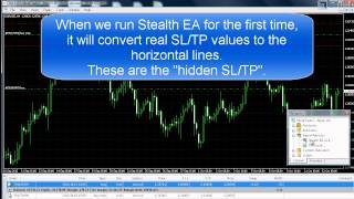 Stealth EA  Hidden Stop Loss amp Take Profit [upl. by Selegna]