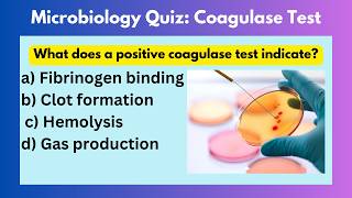 Microbiology Quiz  Microbiology mcqs questions and answers  Coagulase Test microbiology [upl. by Kinghorn548]