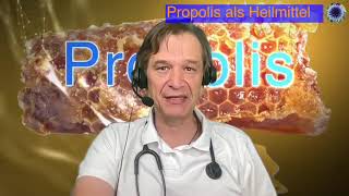 🤯🤯Verbotenes Heilwissen 🐝 Propolis❗🛡 [upl. by Sakovich]