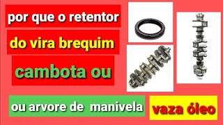 Retentor do vira brequim ARVORE DE MANIVELA e cambota vazando Óleo pode ser isso [upl. by Aifos]