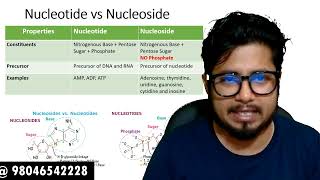 Difference between nucleotide and nucleoside  Nucleotide vs nucleoside [upl. by Patterman]