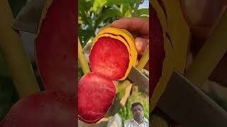 Enjoying beautiful nitrate 🍎🍏🍌🍉 fruit fruiting music shortvideo [upl. by Ailhat261]