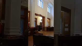 Chail Palace  Shimla himachal travel beautiful nature ytshorts shorts youtubeshorts [upl. by Iva]