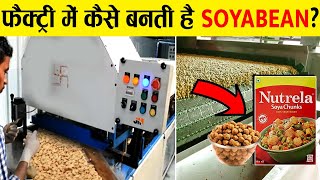 फैक्ट्री में सोयाबीन कैसे बनती हैं  How soyabean is made in factory [upl. by Becka397]