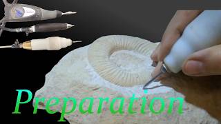 Ammonite preparation From marble block to jewel [upl. by Heyward404]