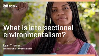 What is Intersectional Environmentalism WSL PURE  One Ocean [upl. by Ehcsrop]