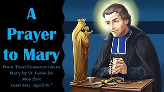 A Prayer to Mary by St Louis De MontfortFeast April 28th [upl. by Akerley]