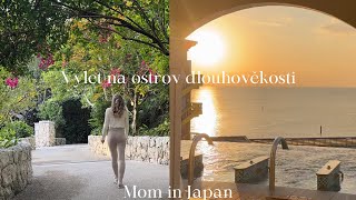 VLOG První týden v roce 2024 novoroční výlet na Okinawu 💙🌿 [upl. by Ronn]