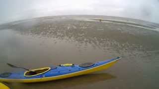 Phoque You  kayak tour with seals in the Baie dAuthie [upl. by Aletsirc20]