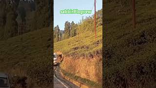 Kharsang Darjeeling by road 🚗🚗🚗🌄🌄🌄 [upl. by Lesli]