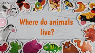 Where do animals live❓➡️ Animals and their homes🐒 Video for kids👼🏻 Animal habitats🐯 [upl. by Duthie]