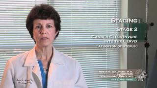 Uterine Cancer Staging 3 [upl. by Nivlem23]