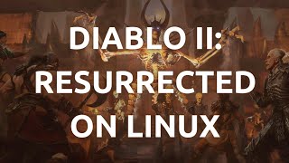 quotHow To Install and Play Diablo II Resurrected on Linux  Complete Tutorialquot [upl. by Curzon]