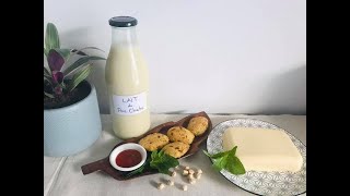 3 recettes de pois chiche tofu pois chiche lait de pois chiche et beignet de pois chiche [upl. by Fabozzi406]