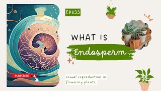 What is Endosperm Sexual reproduction in flowering plants LearnQuest [upl. by Nwhas]