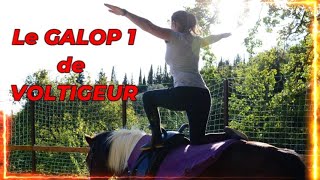 LE GALOP 1 DE VOLTIGEUR [upl. by Arrait]