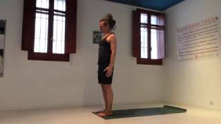 Practica completa de Ashtanga Yoga para principiantes  Half Primary modificado [upl. by Gans485]