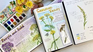 3 Ways to Journal in your Nature Diary [upl. by Bruning414]