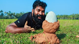 ആനമുട്ട പുഴുങ്ങിയത്  EMU Egg Fry  M4 TECH [upl. by Sillyhp]