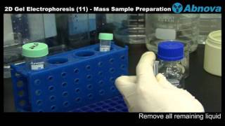 2D Gel Electrophoresis 11 Mass Sample Preparation [upl. by Salomone]