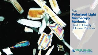 5 Polarized Light Microscopy Methods Used to Identify Unknown Particles [upl. by Ennovoj11]