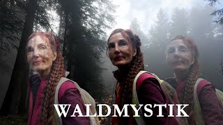 Waldmystik am Fohramoos  ein Herbstspaziergang auf einsamen Pfaden [upl. by Lenra]