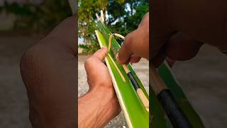 Propagation of new ideas with green bamboo slingsbamboo bambooart bamboocraft diy bamboo Aart [upl. by Roselani]