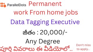 Data Tagging Excutive Job 2023 Telugu  Permanent Work From home jobs 2023  Online Jobs at home [upl. by Yrrah99]