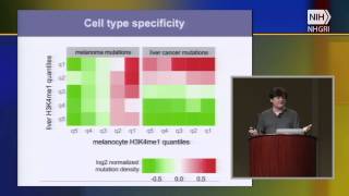 Epigenetic Control of Genetics the Impact of Epigenome on Mutation  Shamil Sunyaev [upl. by Melc]