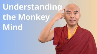 Understanding the Monkey Mind with Yongey Mingyur Rinpoche [upl. by Claudelle]