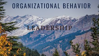 Organizational Behavior  Leadership [upl. by Nitz]