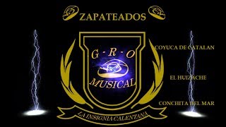 Zapateado Mix  GRO MUSICAL  LA INSIGNIA CALENTANA [upl. by Elletsyrk]