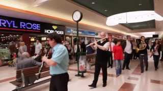 Flashmob symphonique  Centre commercial Auchan Noyelles [upl. by Meehan]