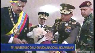 Comando Nacional Antidrogas GNB Ascensos de semovientes caninos 2 [upl. by Warchaw]