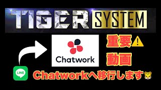 【重要】Chatworkサポートへ移行します fx FX自動売買 EA [upl. by Kubetz651]